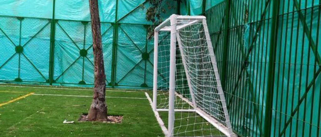 Construyeron una cancha de f&uacute;tbol con dos &aacute;rboles en medio de las &aacute;reas