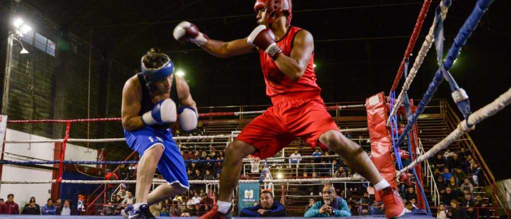 Este viernes comienza un festival de boxeo amateur en Ciudad