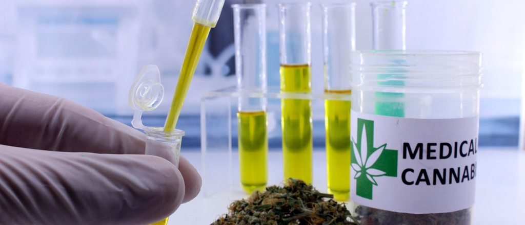 Mendoza dio luz verde para cultivo de cannabis medicinal