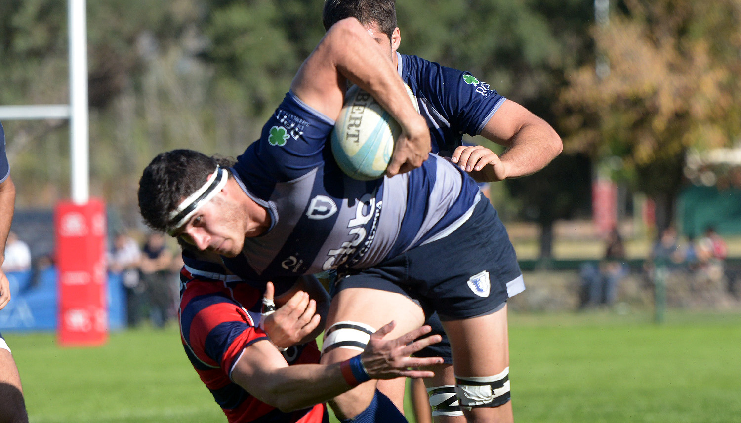 Fotogalería Los Tordos a la final del TDI de rugby Mendoza Post