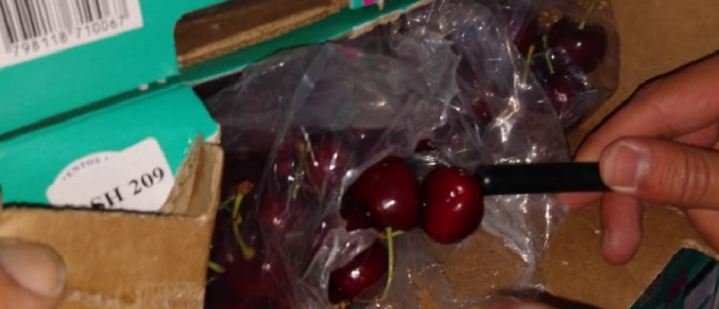 Productores mendocinos envían primer contenedor de cerezas a China