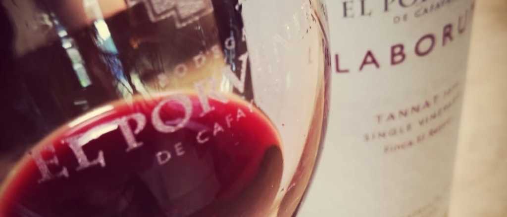 Visitando bodegas en Salta: El Porvenir y sus vinos de altura hacen suspirar