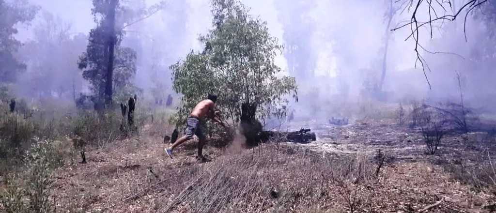 Un bosque de eucaliptos se incendió dos veces en el día en San Rafael