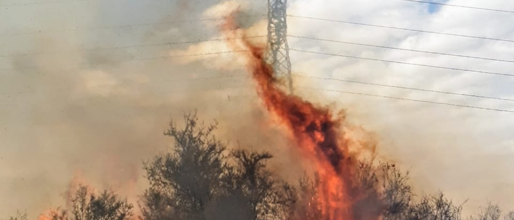 Videos y fotos del incendio en Luján que provocó el apagón del sábado