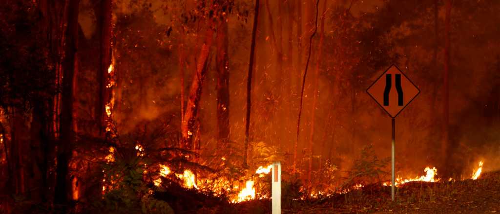 Australia en llamas: los incendios superan cinco veces los del Amazonas