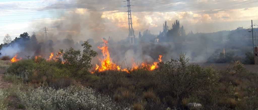 Multas millonarias por provocar incendios forestales en Mendoza