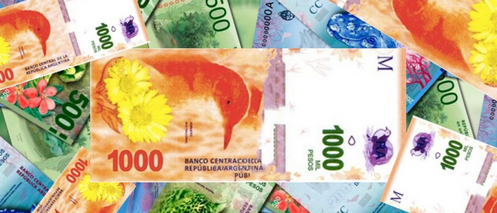 El Banco Central confirmó que le dirá adiós a los billetes de animales