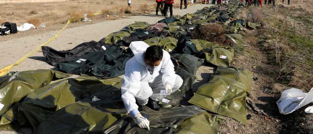 El presidente ucraniano pide a Ir&aacute;n que entregue los cuerpos del avi&oacute;n