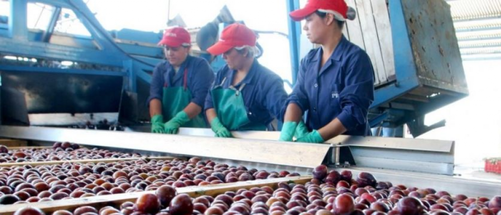 Productores de frutas miran de reojo la nueva desregulaci&oacute;n anunciada