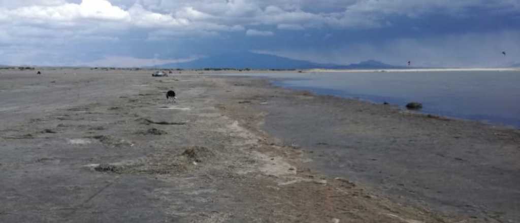 Fue a pescar y lo encontraron muerto en el embalse El Nihuil