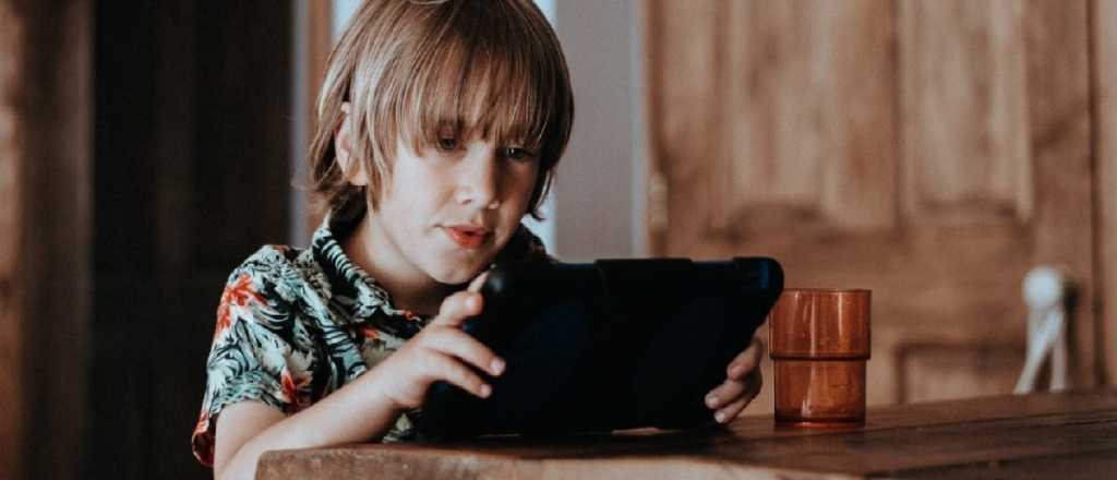 Mendoza ajusta su normativa para combatir los delitos inform&aacute;ticos