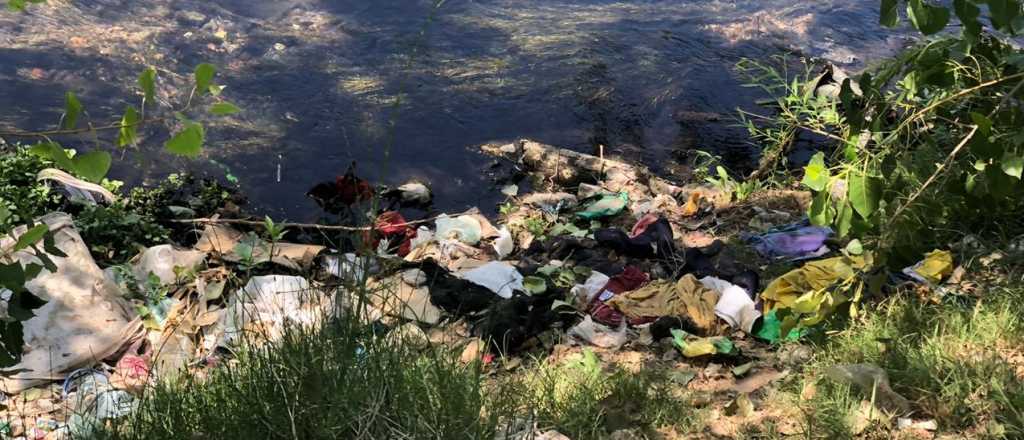Investigan si un arroyo de Tunuyán está contaminado
