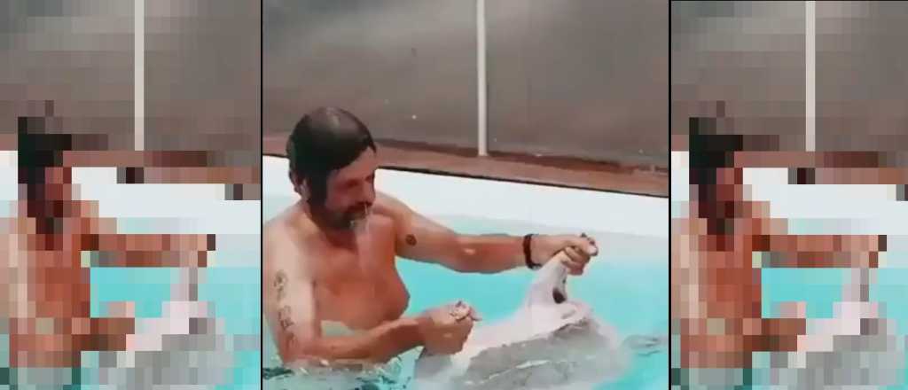 Otro video prueba que el cordero lanzado de un helic&oacute;ptero estaba faenado