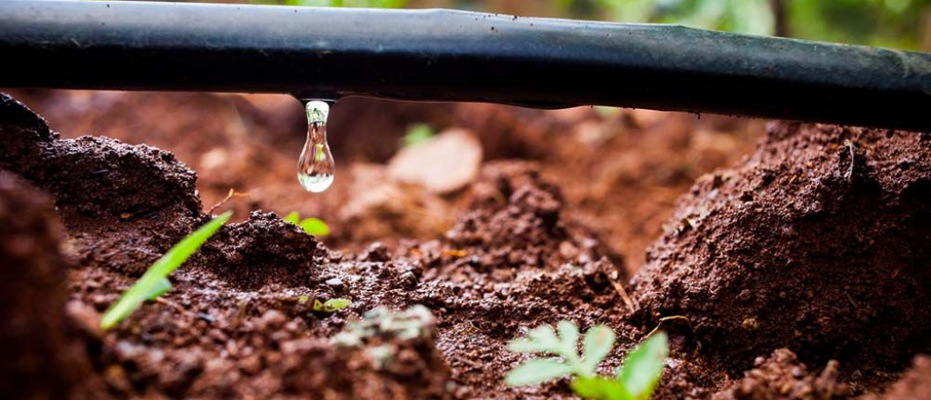 Los nuevos barrios de Luján de Cuyo deberán tener riego por goteo