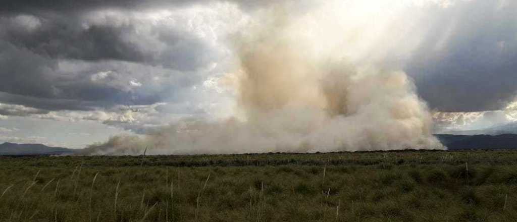Se incendió un camping de San Carlos: se quemaron 10 hectáreas
