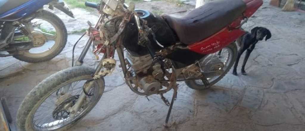 Un mendocino murió al chocar contra un caballo en San Juan