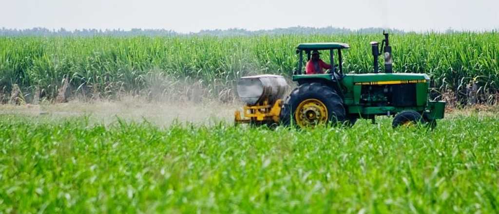 La UIM advierte sobre la cr&iacute;tica situaci&oacute;n del sector agroindustrial de Mendoza