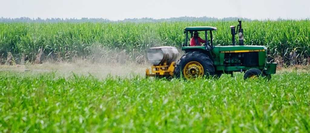 La UIM advierte sobre la crítica situación del sector agroindustrial de Mendoza