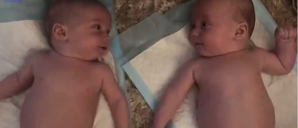 La divertida "charla" de dos gemelos que se reconocen por primera vez