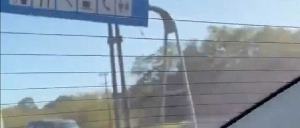 Video: lo filmaron manejando en contramano en la Ruta 2