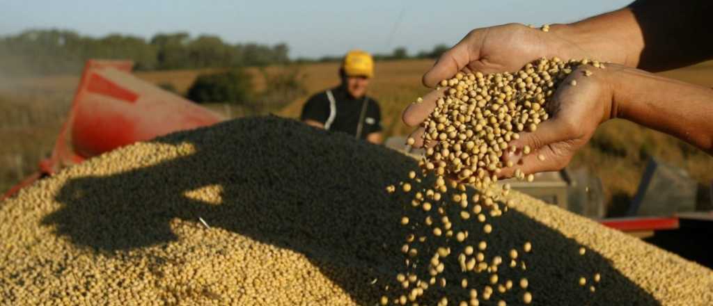 Impulso para los productores de soja