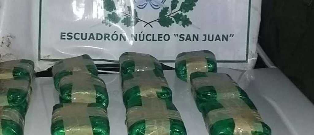 Gendarmería decomisó 50 kilos de hojas de coca en la Terminal de Mendoza
