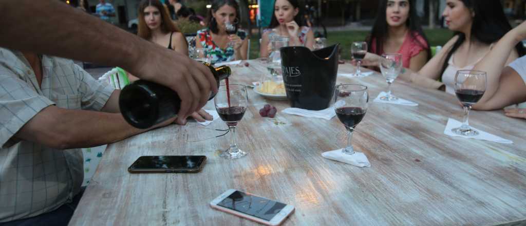 As&iacute; acerca la Ciudad de Mendoza el vino a turistas y vecinos 