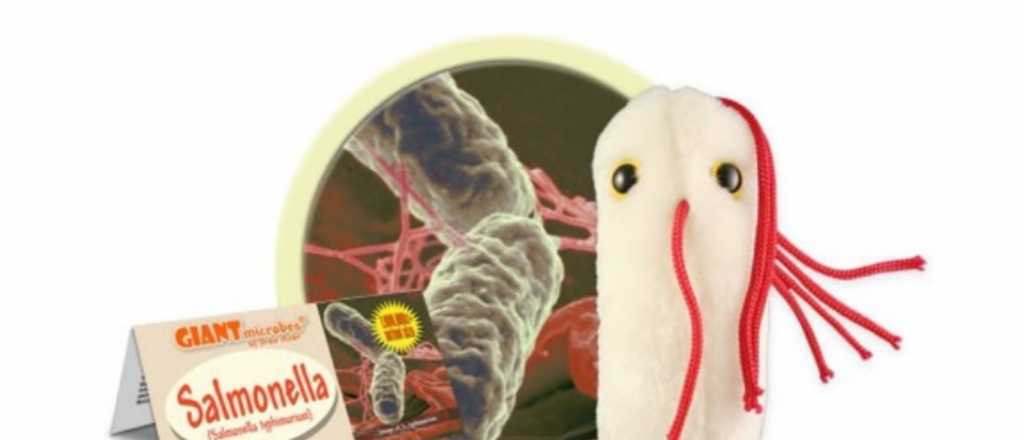 La tienda online que vende peluches con forma de virus y órganos