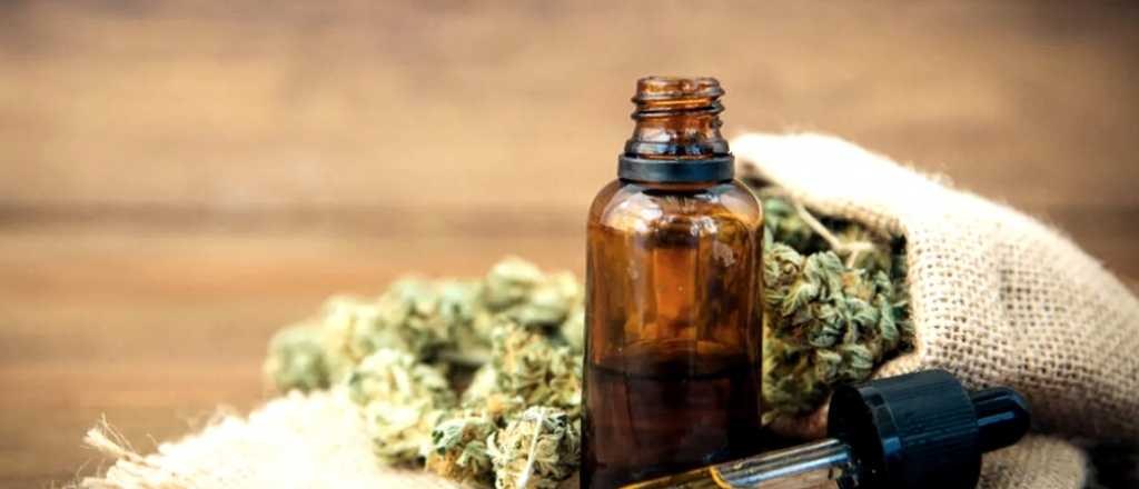 Mendoza sanciona su ley de producción de aceite de cannabis