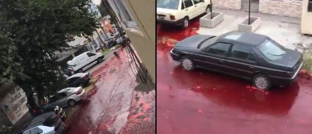 Video: "r&iacute;o" de sangre en las calles de Mor&oacute;n