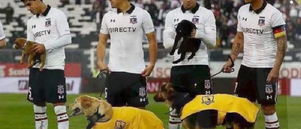Los jugadores de Colo Colo salieron a la cancha con perros en adopci&oacute;n