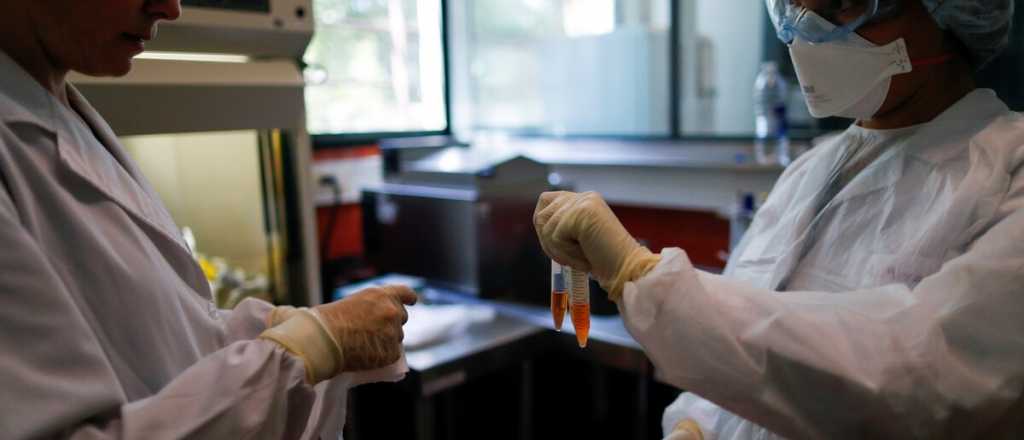 Coronavirus: Médicos argentinos se ofrencen a consultas gratuitas