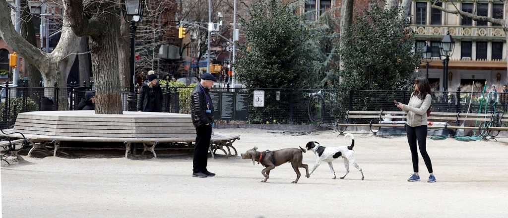 Nueva York registró 5.700 casos de coronavirus en un día y 157 muertos