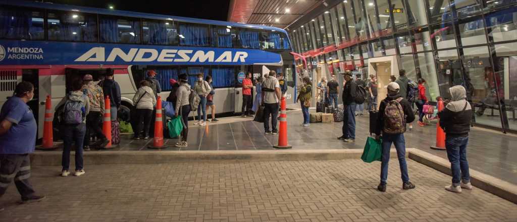 Secuestran en la Terminal más de 220 kilos de hoja de coca