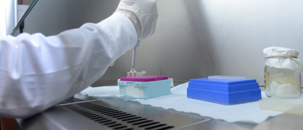 A Mendoza llegarán más de 10 mil reactivos y ocho respiradores