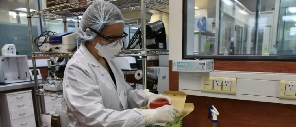 La pelea feroz por la cepa brit&aacute;nica y las muertes en Mendoza