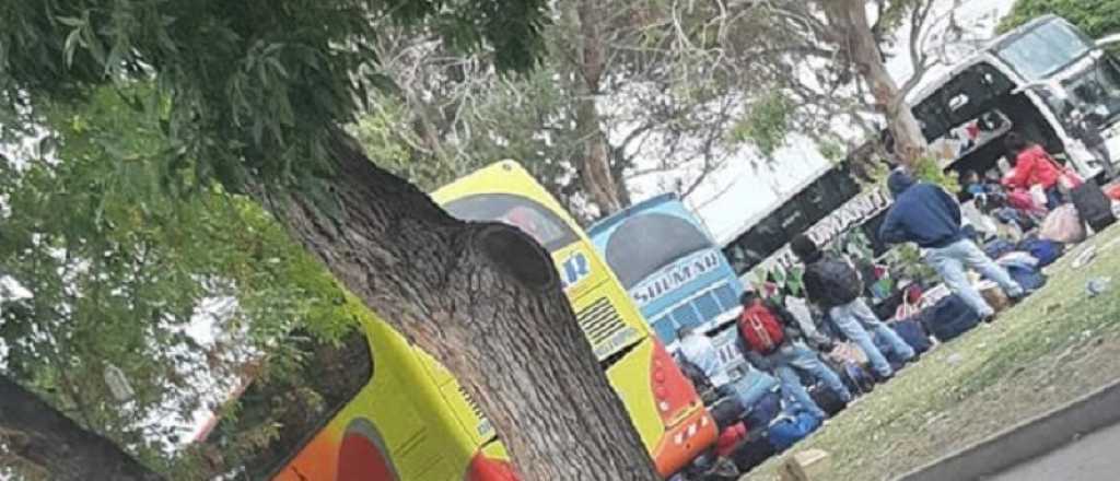 Tucumán envió micros para "repatriar" a trabajadores que vinieron a la cosecha