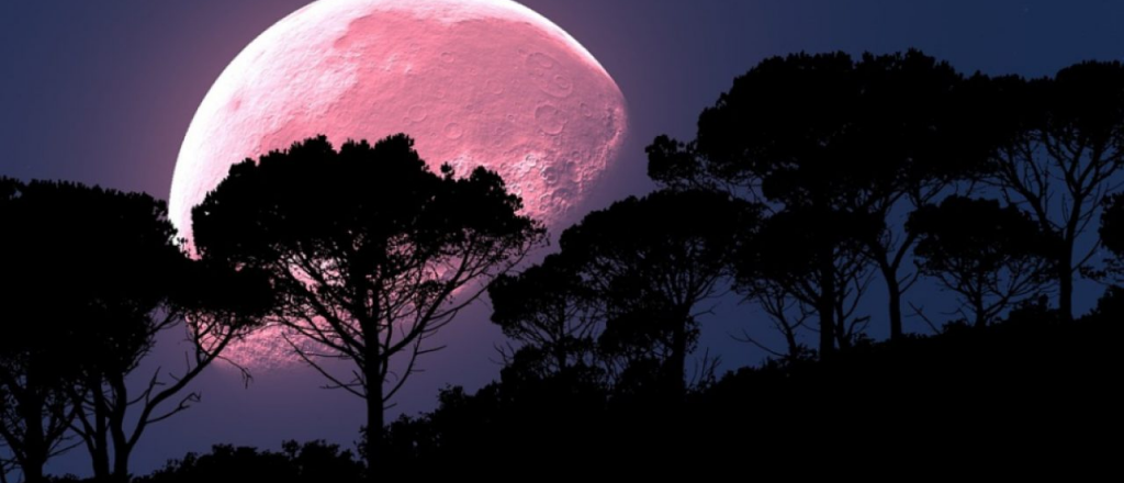 Luna rosa 2020: cómo verla durante la cuarentena 