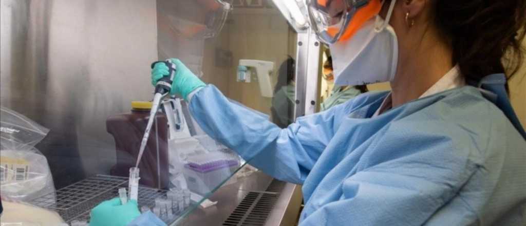 Cinco mujeres dieron positivo de coronavirus en Mendoza, y suman 54