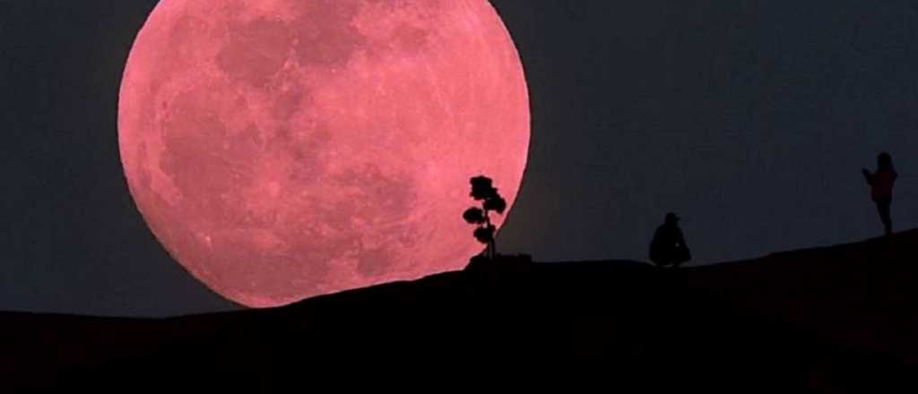 Las fotos de la Superluna Rosa que enloqueció a los mendocinos