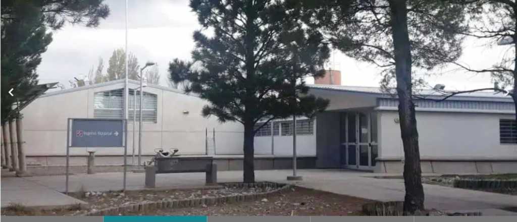 Siguen buscando el origen del coronavirus en Malarg&uuml;e