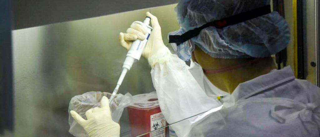 Mendoza: 56 infectados por coronavirus, y 4 muertos
