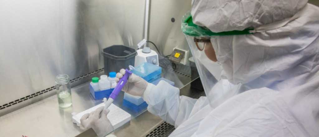 Covid: quedan muestras sin procesar en los laboratorios de Mendoza 