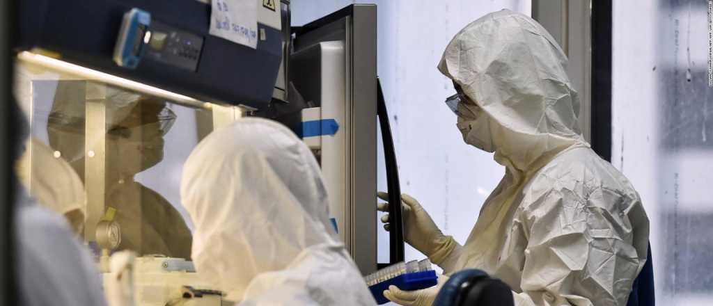 Argentina detectó gripe aviar y declaró la emergencia sanitaria 