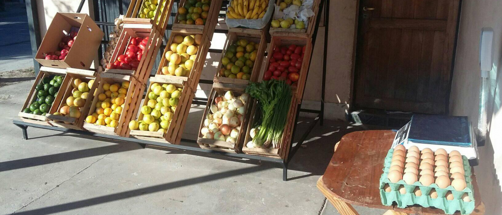 Una joven cobr&oacute; los 10 mil pesos de IFE y puso una verduler&iacute;a en la casa