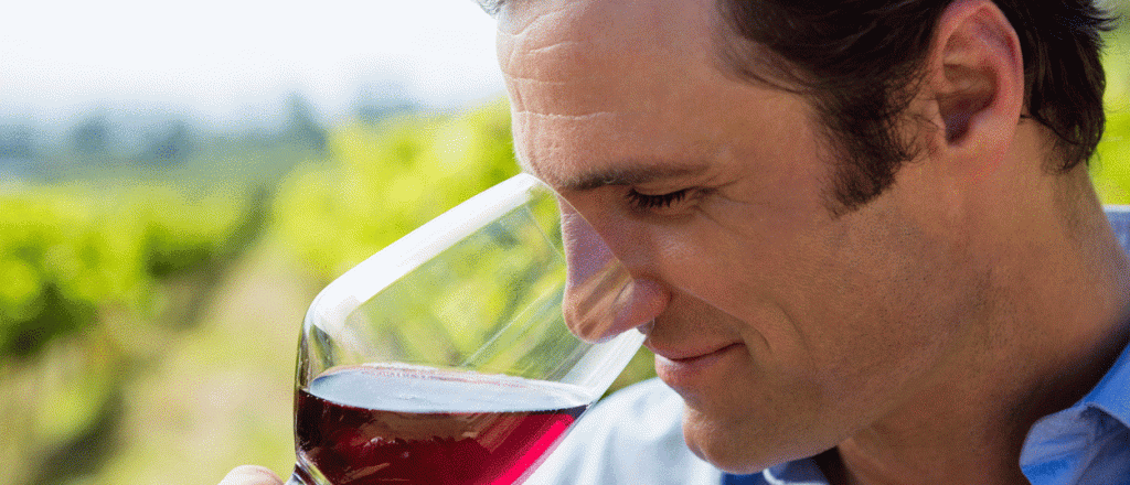 La percepción del sabor frutal del vino puede variar según la saliva