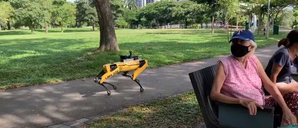 En Singapur usan perros robots para mantener la distancia social