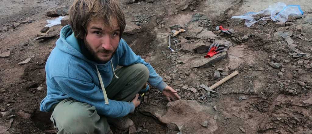 Hallaron restos de un dinosaurio carnívoro gigante en Santa Cruz