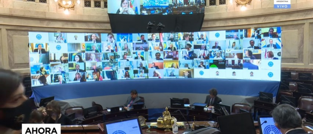 Histórica primera sesión virtual del Senado de la Nación