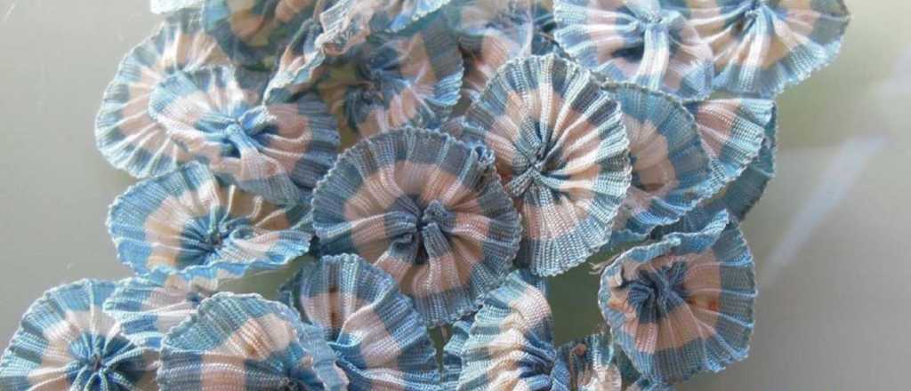 No fueron French y Beruti: el origen del D&iacute;a de la Escarapela